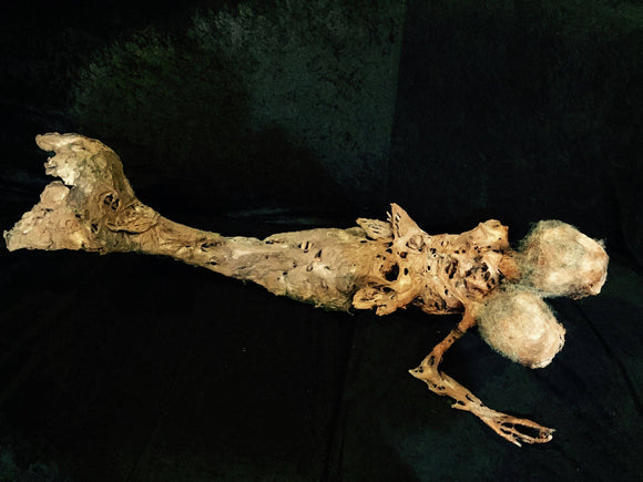 Fiji Mermaid