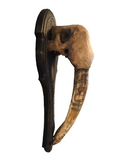 Walrus Skull Mount